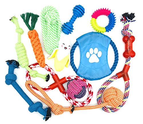 Ototon 12 Stück Kauspielzeug für Hunde, Knochenform, langlebig, Seil zum Üben, kreatives Spielen, für kleine und mittelgroße Hunde, Welpen von Ototon