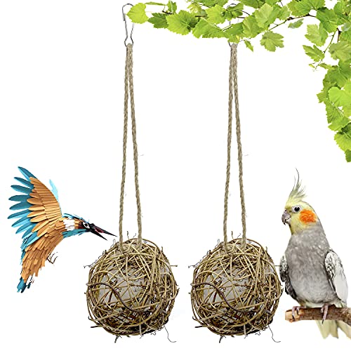 Ototon 2 Stück Vogelspielzeug aus Naturholz, Kauzubehör zum Aufhängen, Dekoration, kreativ, für Papagei, kleine Tiere von Ototon