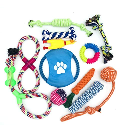 Ototon 6 Stück Hundespielzeug, langlebig, Kauspielzeug für kleine und mittelgroße Hunde von Ototon