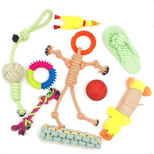 Ototon 9 Stück Hundespielzeug, langlebig, Kauspielzeug, Solitude, Trainingswerkzeug für kleine und mittelgroße Hunde von Ototon