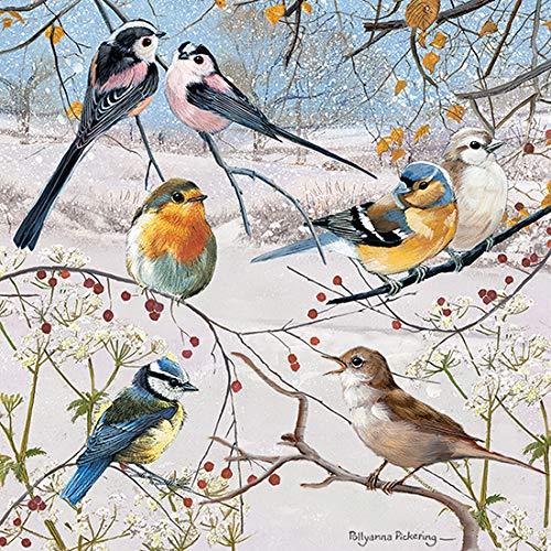 Otter House Weihnachtskarte - Christmas Birds - Wintervögel von Otter House