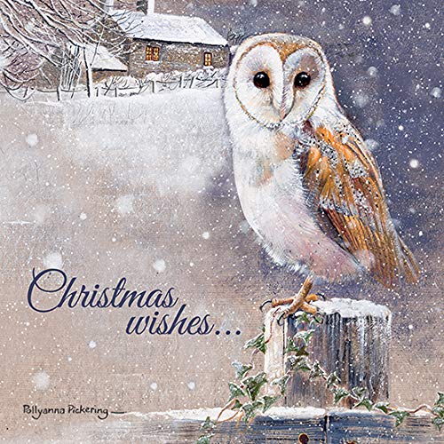 Otter House Weihnachtskarte - Christmas Wishes - Schleiereule von Otter House