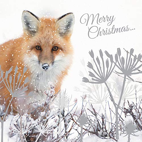 Otter House Weihnachtskarte - Festive Fox - Fuchs im Winterwald von Otter House