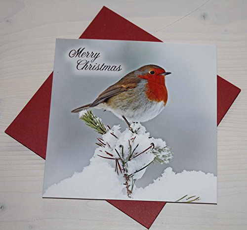 Otter House Weihnachtskarte - Fir Tree Robin - Rotkehlchen - Merry Christmas von Otter House