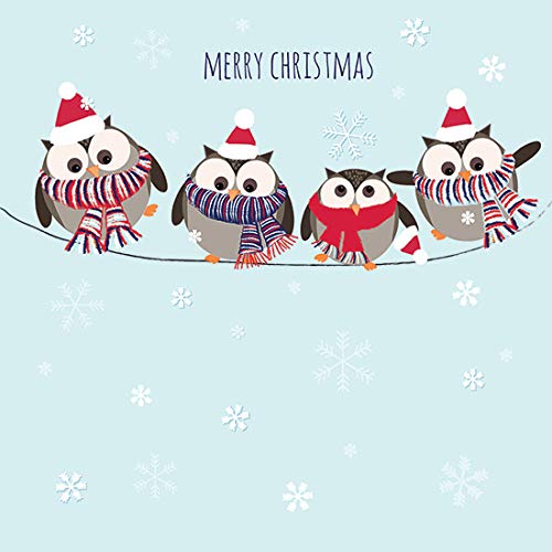 Otter House Weihnachtskarte - Lustige Eulen - Jolly Owls von Otter House