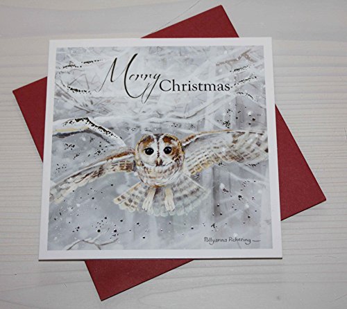 Otter House Weihnachtskarte - Snow is Falling - Schneeeule von Otter House