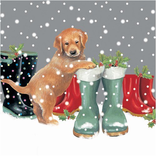 Otter House Weihnachtskarte mit Umschlag Pup in Boots von Otter House