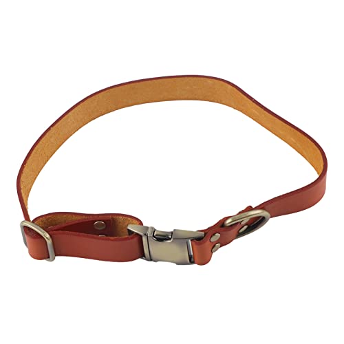 Hundehalsband – Hundehalsband aus Leder – mit gravierter Schnalle – weiches, atmungsaktives Leder – mit hochwertiger gebürsteter Bronze-Hardware – für kleine, (M) von Otufan