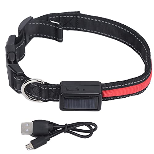 Leuchtendes Hundehalsband – LED-Hundehalsband – wetterfest, verstellbar – mit Android-Ladeanschluss – Bequeme Passform – mit einfachem Netzschalter – für nächtliche Spaziergänge (M) von Otufan