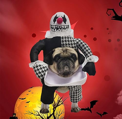 Otunrues Halloween Pet Costume Teufel Cosplay Dog Clothing Funny Demon Head-on-Plate Party Dress up for Small Medium Dogs and Cats (Large) von Otunrues