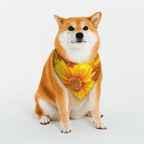 3D-Sonnenblumen-Hundehalstuch, dreieckiger, wendbarer Haustierschal für Jungen und Mädchen, Halstuch für kleine, mittelgroße und extra große Hunde 3D-Sonnenblumen-Hundehalstuch, dreieckiger, wendbarer Haustierschal für Jungen und Mädchen, Halstuch für kleine, mittelgroße und extra große Hunde von Oudrspo
