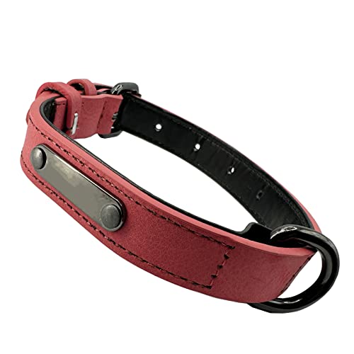 Hundehalsband Verstellbare, schlicht, robust, witterungsbeständig für Welpen Kleine Mittel Große Hunde Klassisches Halsband Hund (L: 2.5CM Breit für 48CM -58CM Hals, Rot-neu) Hundehalsband Verstellbare, schlicht, robust, witterungsbeständig für Welpen Kleine Mittel Große Hunde Klassisches Halsband Hund (L: 2.5CM Breit für 48CM -58CM Hals, Rot-neu) von Oufusilk