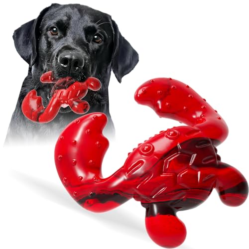 Ouilter Hundespielzeug für aggressive Kauer, Hundespielzeug für mittelgroße und große Hunde, robustes Nylon-Kauspielzeug mit Speckgeschmack, Kauspielzeug für aggressive Kauer, Rot Ouilter Hundespielzeug für aggressive Kauer, Hundespielzeug für mittelgroße und große Hunde, robustes Nylon-Kauspielzeug mit Speckgeschmack, Kauspielzeug für aggressive Kauer, Rot von Ouilter