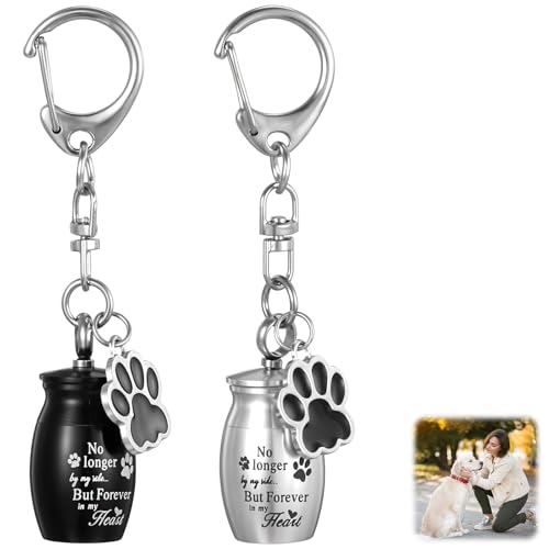 Ouligay 2 Stück Mini Urne für Asche Hunde, Edelstahl Hundekralle Tierurnen für Hunde Katze, Gedenk Asche Gedenkurne Schlüsselanhänger Urne Hund, Haustiere Gedenkschlüsselbund, Pet Urns Keychain von Ouligay