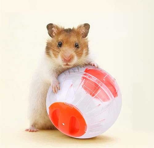 Oumefar 3Colors Hamster Gymnastikball Kunststoff Hamster Spielzeug Roll-Around Mini Ball Heimtrainer für Kleintier Hamster Rennmaus(Gelb) von Oumefar