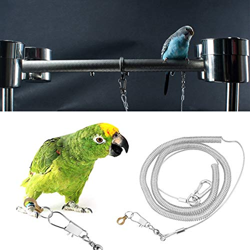 Oumefar 6m Vogelflugseil Anti-Biss Haustierleine Kits Edelstahl Vogel Fußkette mit Ring für Bird Parrot Flying Training(8.5MM+6M) von Oumefar