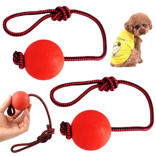 Hundespielzeug, interaktives Katzenspielzeug, interaktiver Katzenspielzeugball, Do-g B-allOn a Rope Do-g To-y, interaktives Ca-t To-y B-all, langlebig, elastisch, Vollgummi, RollingB-all für Ca-ts von Oumun
