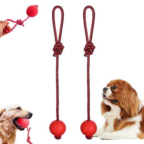 Oumun Seilball für Hunde von Oumun