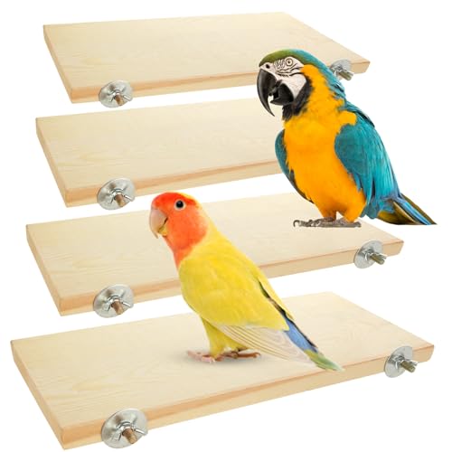 Vogel-Plattform Vogel-Plattform von Oungy
