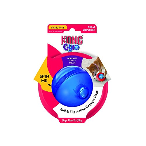 KONG Gyro Puppy Assorted SM EU Interaktives Hundespielzeug von Our Pet Village