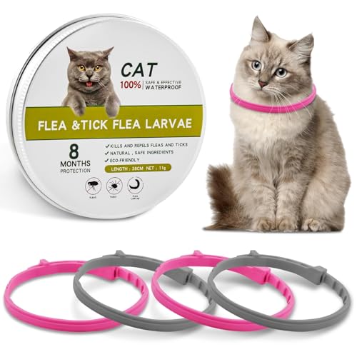 Katzenhalsband, Katzenhalsbänder 4 Piezas, Haustierhalsbandgürtel, Weichem Silikon Katzen Halsbänder, Effektiver Schutz für 8 Monate, Verstellbar und Wasserdicht (mit Eine Kiste) von Ourdort
