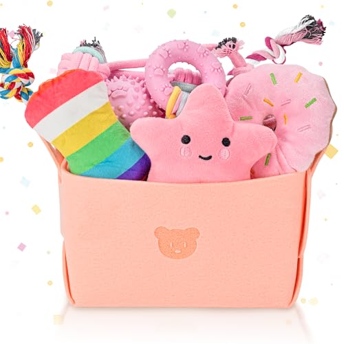Ousiya 12er Set Welpenspielzeug, kleines Hundespielzeug, Welpenkauspielzeug mit Aufbewahrungsbox,Kauspielzeug für kleine und mittelgroße Hunde, zum Spielen Ousiya 12er Set Welpenspielzeug, kleines Hundespielzeug, Welpenkauspielzeug mit Aufbewahrungsbox,Kauspielzeug für kleine und mittelgroße Hunde, zum Spielen von Ousiya