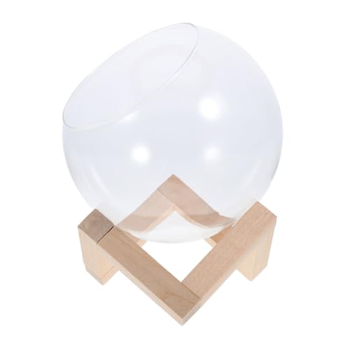 Outanaya 1 Set Glasbehälter Hydrokultur Pflanzgefäß Dekorative Vase Glasblumentopf Kleines Terrarium Schreibtisch Terrarium Für Büro Schreibtisch Sukkulenten Blumenständer Holz Outanaya 1 Set Glasbehälter Hydrokultur Pflanzgefäß Dekorative Vase Glasblumentopf Kleines Terrarium Schreibtisch Terrarium Für Büro Schreibtisch Sukkulenten Blumenständer Holz von Outanaya