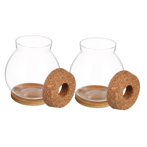 Outanaya 2 Sets Hydrokultur Glasvase Blumentopf Hydrokultur Blumentopf Glas Blumentopf Desktop Luftpflanzen Terrarium Desktop Station Pflanzenanzuchtgläser Transparent Outanaya 2 Sets Hydrokultur Glasvase Blumentopf Hydrokultur Blumentopf Glas Blumentopf Desktop Luftpflanzen Terrarium Desktop Station Pflanzenanzuchtgläser Transparent von Outanaya