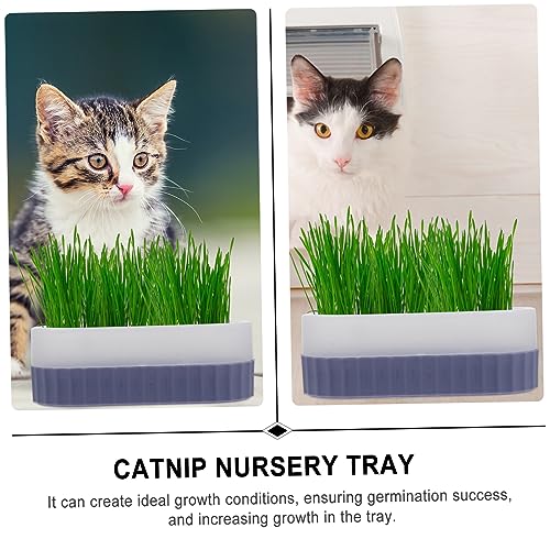 Outanaya Katzengras Hydroponik Set Teilig Langlebiger Topf mit Deckel Soilless Pflanzbox für Katzen Nährstoffreiche Wasserversorgung Einfach zu Kultivieren Geeignet für Katzenleckereien Outanaya Katzengras Hydroponik Set Teilig Langlebiger Topf mit Deckel Soilless Pflanzbox für Katzen Nährstoffreiche Wasserversorgung Einfach zu Kultivieren Geeignet für Katzenleckereien von Outanaya