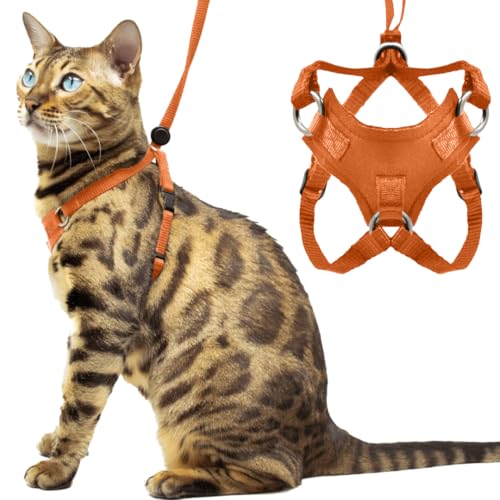 Houdini™ Set aus Katzengeschirr und Leine von OutdoorBengal, ausbruchsicheres, großes Katzengeschirr für Spaziergänge mit großen Katzen, Orange von OutdoorBengal