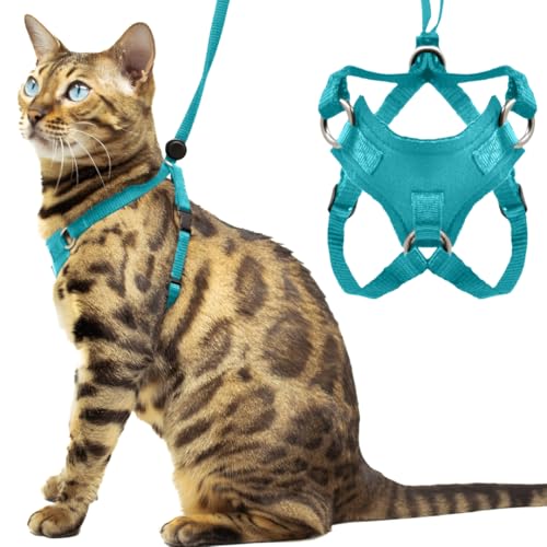 Houdini™ Set aus Katzengeschirr und Leine von OutdoorBengal, ausbruchsicheres, großes Katzengeschirr für Spaziergänge mit großen Katzen, Türkis von OutdoorBengal