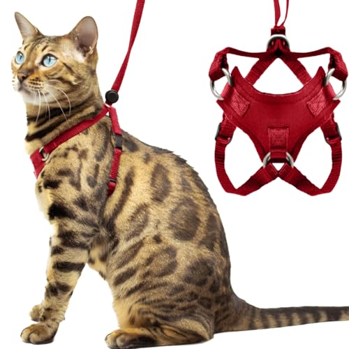 Houdini™ Set aus Katzengeschirr und Leine von OutdoorBengal, ausbruchsicheres, mittelgroßes Katzengeschirr für Spaziergänge, Rot von OutdoorBengal