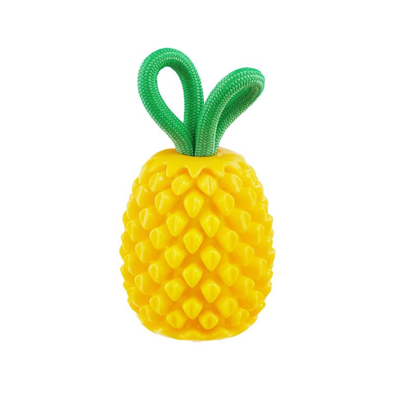 Outward Hound Dental Pineapple von Outward Hound