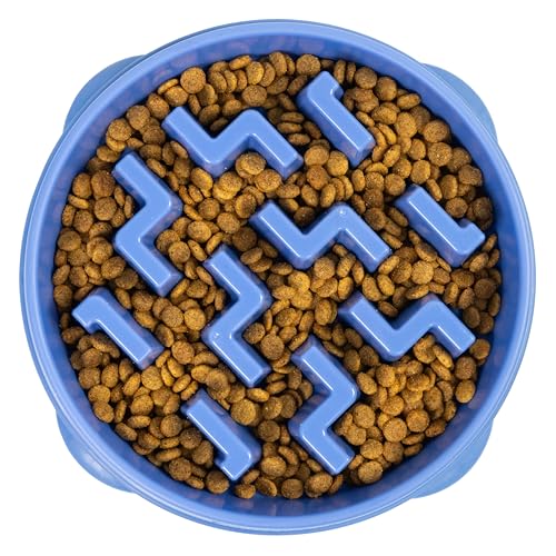 Outward Hound Fun Feeder Slo Bowl - Slow Feeder Hundenapf - Anti-Schlucken - Interaktive Hundenapf - groß - blau von Outward Hound