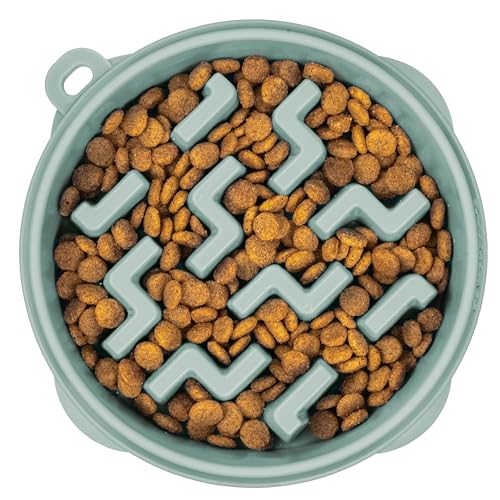 Outward Hound Fun Feeder Slo Bowl Medium Slow Feeder Hundenapf 2 Tassen Salbei Outward Hound Fun Feeder Slo Bowl Medium Slow Feeder Hundenapf 2 Tassen Salbei von Outward Hound