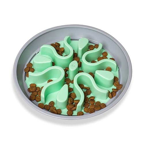 Outward Hound Wobble Slo Bowl - Slow Feeder Hundenapf - Interaktiver Hundefutternapf - Anti Schlucken - Einheitsgröße - Mint Outward Hound Wobble Slo Bowl - Slow Feeder Hundenapf - Interaktiver Hundefutternapf - Anti Schlucken - Einheitsgröße - Mint von Outward Hound
