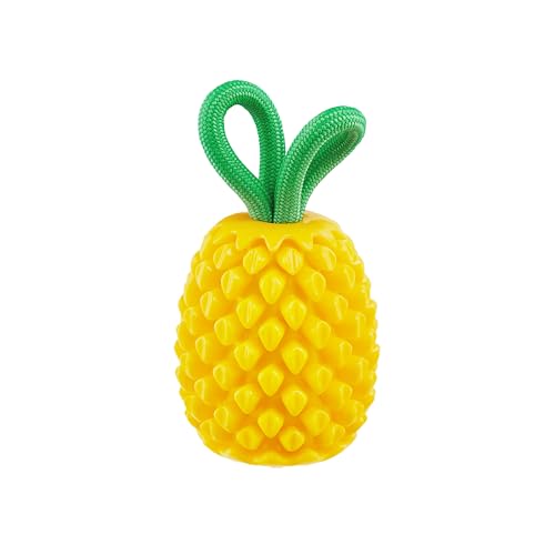 Outward Hound Planet Dog Dental Ananas Dental Chew Toy and Interactive Treat Stuffer Durable Dog Toy Stuffable Dog Toy, Yellow von Outward Hound