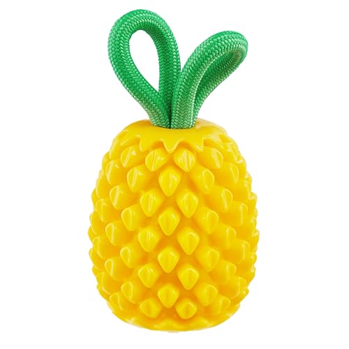 Outward Hound Planet Dog Dental Ananas Dental Chew Toy and Interactive Treat Stuffer Durable Dog Toy Stuffable Dog Toy, Yellow von Outward Hound