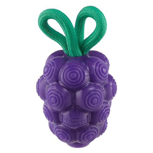Outward Hound by Planet Dog Dental Grapes Zahnkauspielzeug und interaktives Leckerlifüller, langlebiges Hundespielzeug, gefülltes Hundespielzeug, Größe M, Violett Outward Hound by Planet Dog Dental Grapes Zahnkauspielzeug und interaktives Leckerlifüller, langlebiges Hundespielzeug, gefülltes Hundespielzeug, Größe M, Violett von Outward Hound