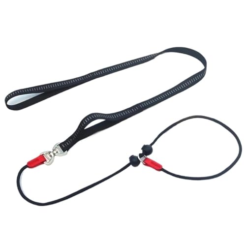 150 cm Hundetrainings-Rundseil Reflektierende Nylon-P-Kette Laufleine Halsband Einstellbar for Kleine Mittelgroße Hunde Heimtierbedarf(Black) von Ouxk