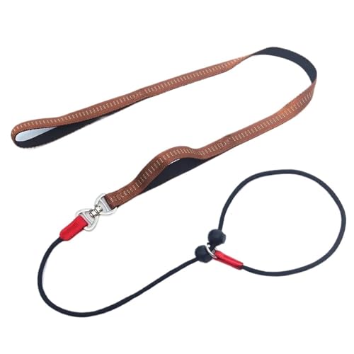 150 cm Hundetrainings-Rundseil Reflektierende Nylon-P-Kette Laufleine Halsband Einstellbar for Kleine Mittelgroße Hunde Heimtierbedarf(Coffee) von Ouxk