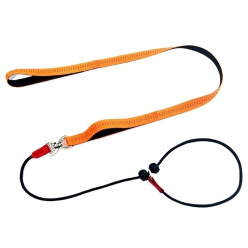 150 cm Hundetrainings-Rundseil Reflektierende Nylon-P-Kette Laufleine Halsband Einstellbar for Kleine Mittelgroße Hunde Heimtierbedarf(Orange) von Ouxk