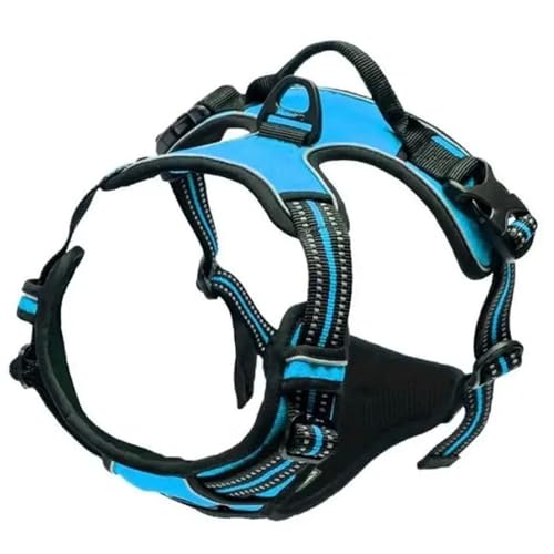 Hundehalsbänder Geschirre Große Westen Leine Tiershop Alles for Hunde Leder Welpenzubehör Mittel Klein Set(Blue,XL) von Ouxk