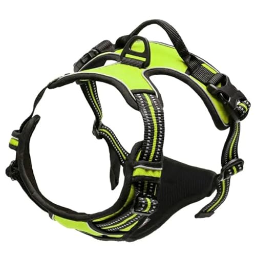 Hundehalsbänder Geschirre Große Westen Leine Tiershop Alles for Hunde Leder Welpenzubehör Mittel Klein Set(Green,S) von Ouxk