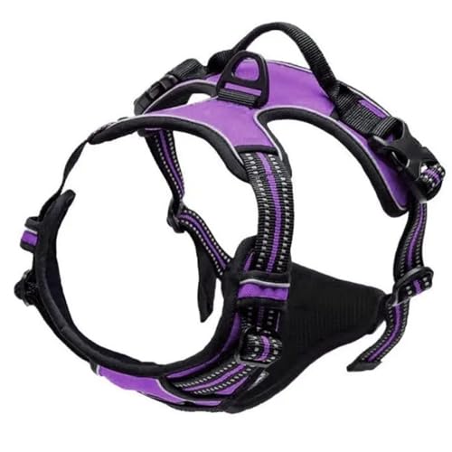 Hundehalsbänder Geschirre Große Westen Leine Tiershop Alles for Hunde Leder Welpenzubehör Mittel Klein Set(Purple,L) von Ouxk