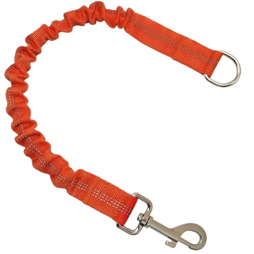 Hundeleine Stoßdämpfer Mittlere Hunde Haustier Elastisches Seil Unzerstörbares Spielzeug Spazierleinen Verlängerung Bungee Schwarze Trainingsleine(Orange) von Ouxk