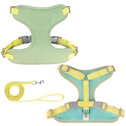 Katzenwelpen-Gassi-Zubehör for Draußen, Modisches Haustiergeschirr Und Leine-Set for Kleine Hunde, Katzen, Atmungsaktiv, Langlebig, Kätzchengeschirr(Green,S-Suit 3.5-6.5kg) von Ouxk