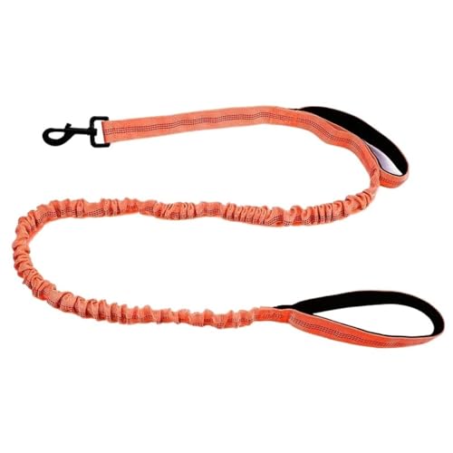 Robuste Bungee-Hundeleine, 1,5 M Lange, Stoßdämpfende Polyesterleine Mit Zwei Gepolsterten Griffen, Verstellbarer Taille Und Sicherer Schnalle(Chengse) von Ouxk