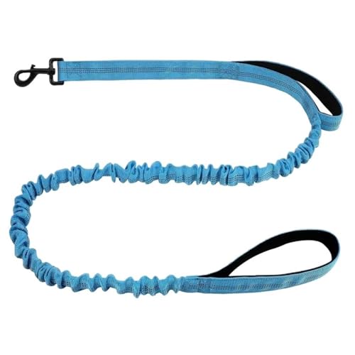 Robuste Bungee-Hundeleine, 1,5 M Lange, Stoßdämpfende Polyesterleine Mit Zwei Gepolsterten Griffen, Verstellbarer Taille Und Sicherer Schnalle(Sky Blue) von Ouxk