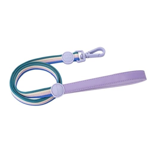 Schillerndes Hundehalsband In Blockfarben Und Bequemes Hundegeschirr, Weste, Haustierleine for Kleine Und Mittelgroße Hunde(Purple Leash,M) von Ouxk